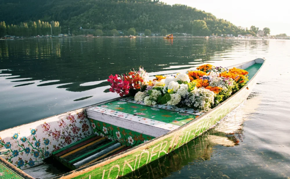 Dal-Lake